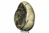 Septarian Dragon Egg Geode - Sparkly Black Crystals #308830-1